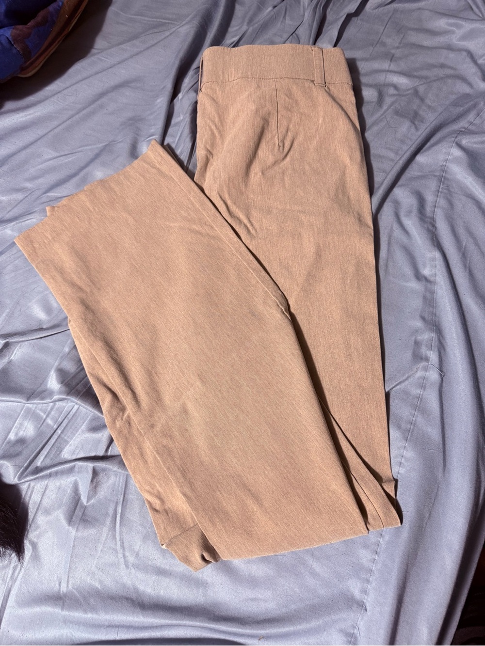 Woman’s Straight-Leg Casual Pants in Light Brown Maurice’s